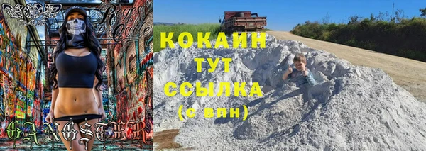 прущие грибы Снежинск