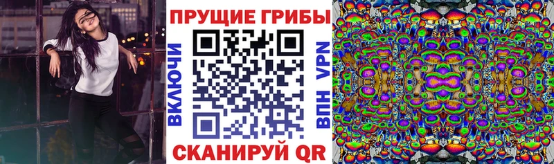 мега ССЫЛКА  Щёкино  Галлюциногенные грибы ЛСД  купить наркотики сайты 